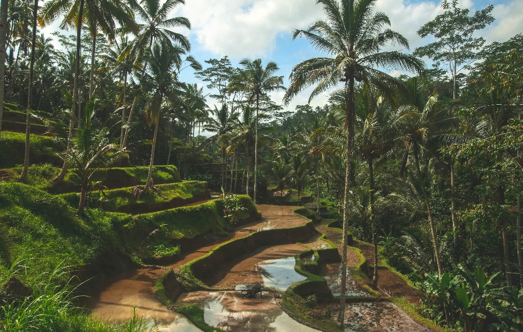 Tegalalang-rice-terraces-Ubud-Bali